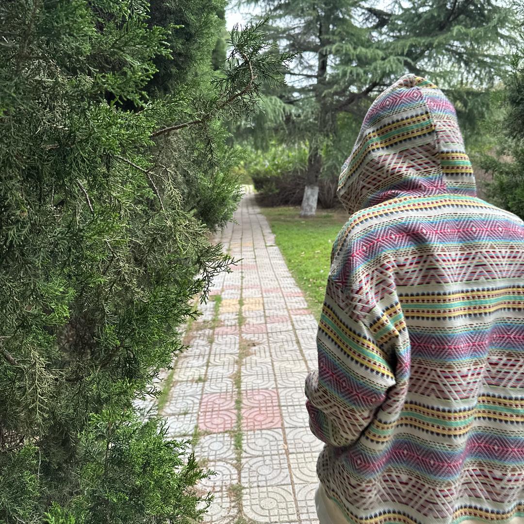 阳光彩虹小白马🌈