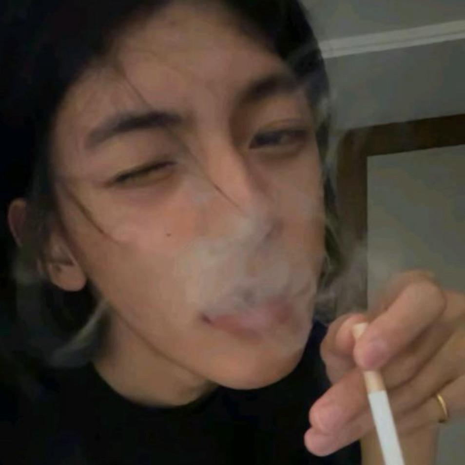 .本本