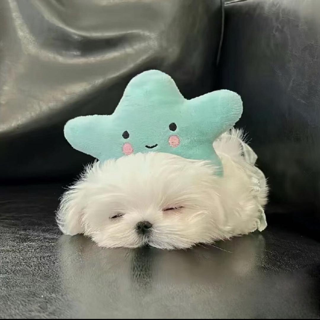 不得劲了我就作