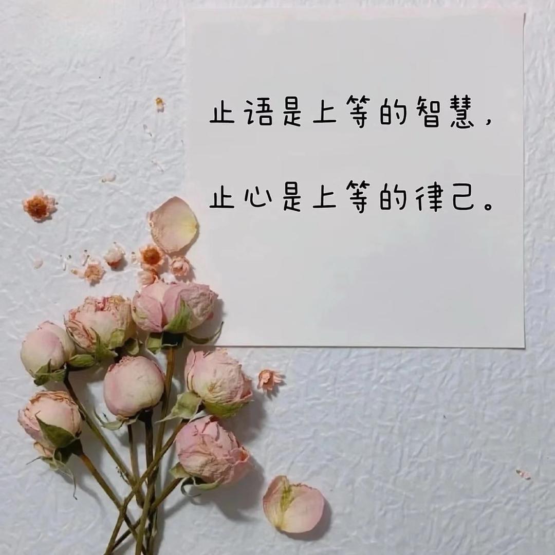 雪雪雪灬