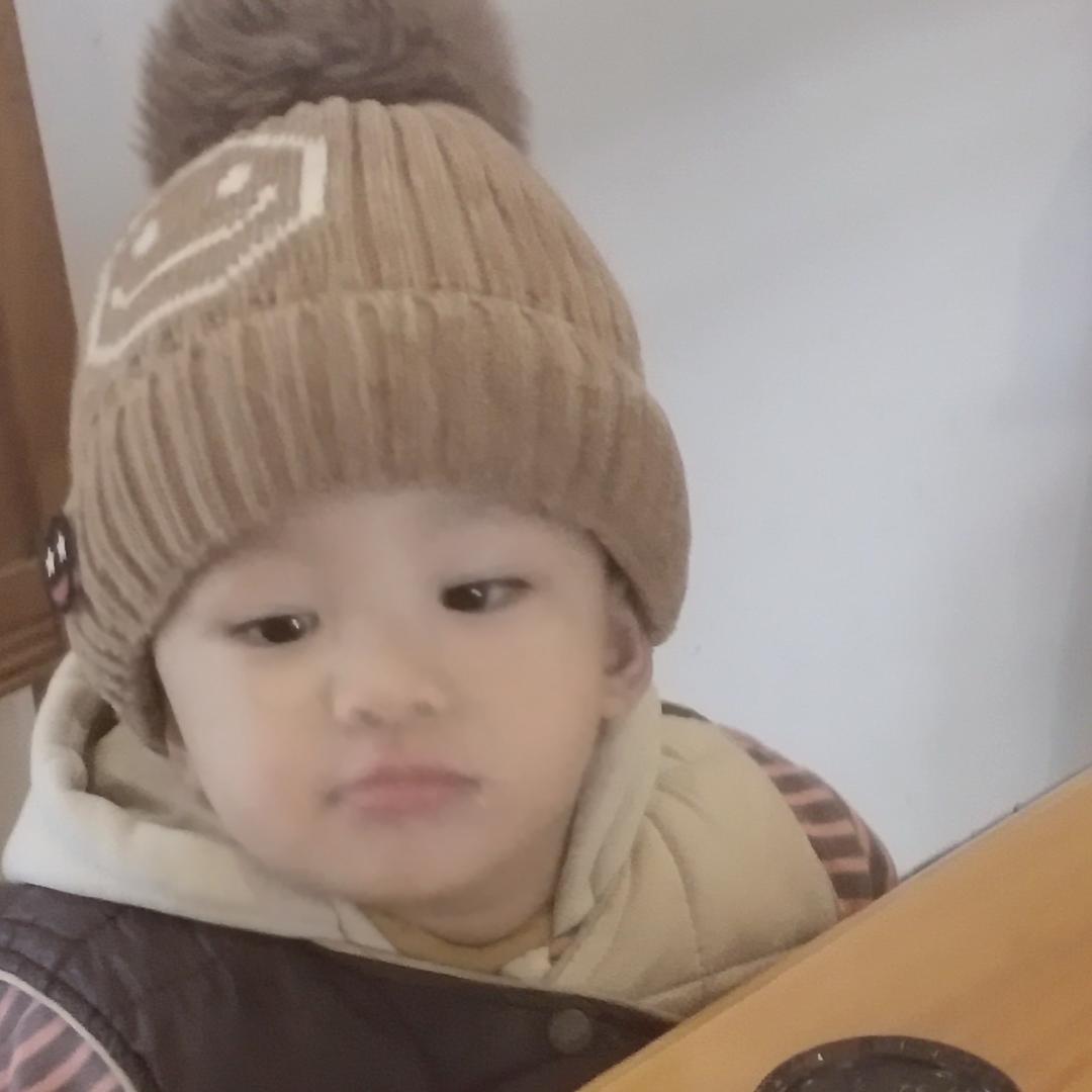 梦想去大树屋 2