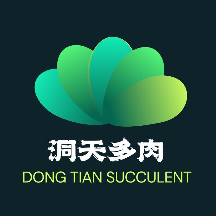 七彩洞天多肉