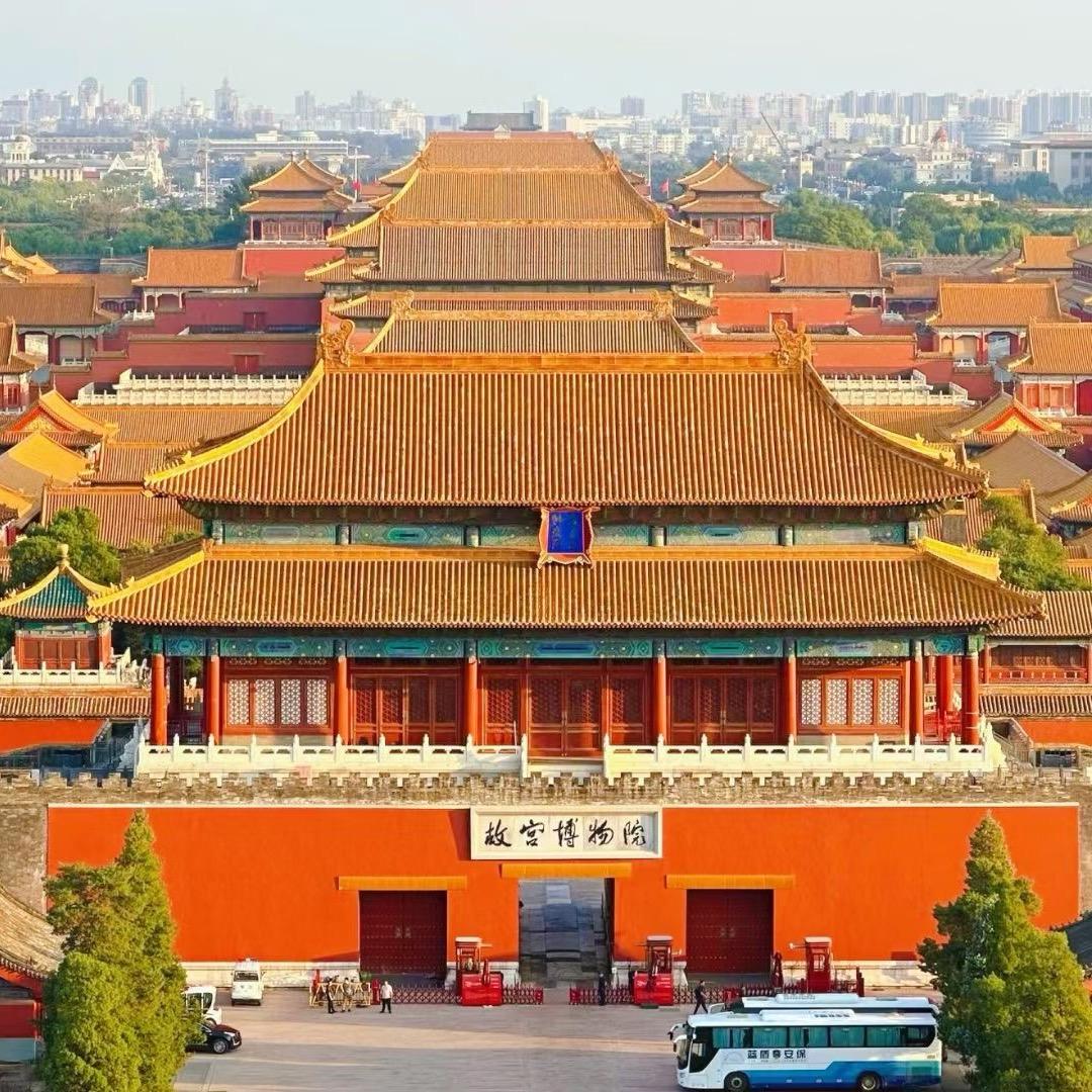 小猴子爱上树