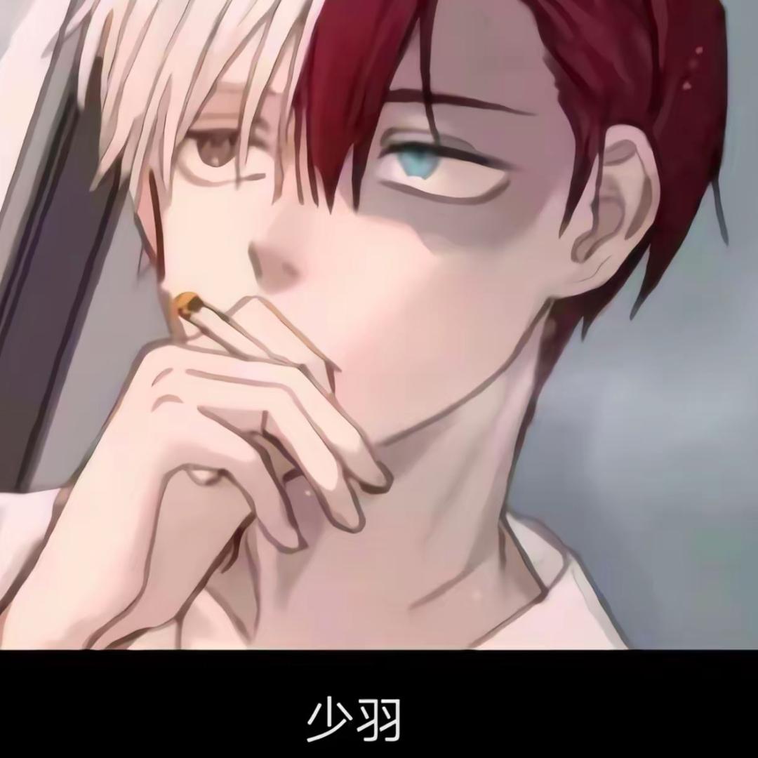 是冰羽不是少羽