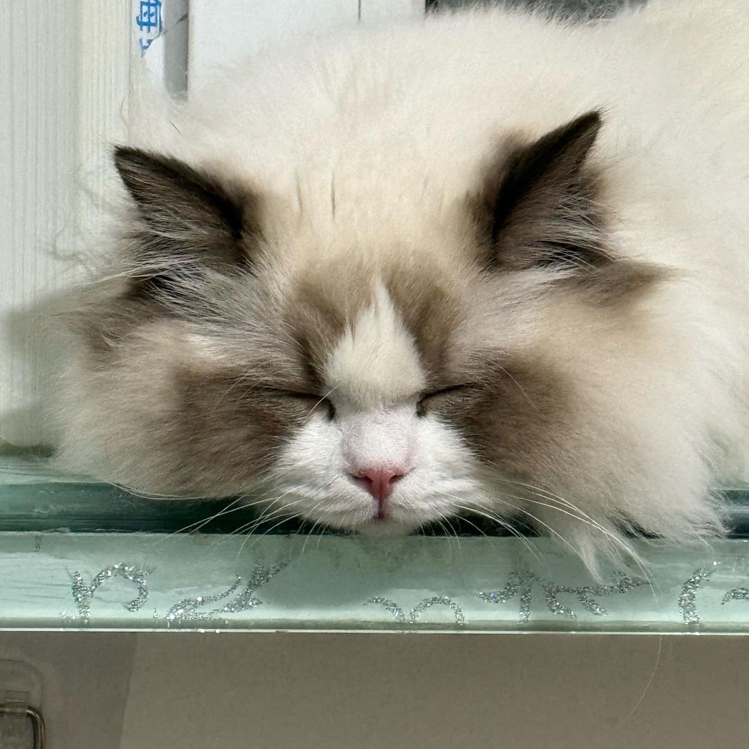 认识我你有多高兴