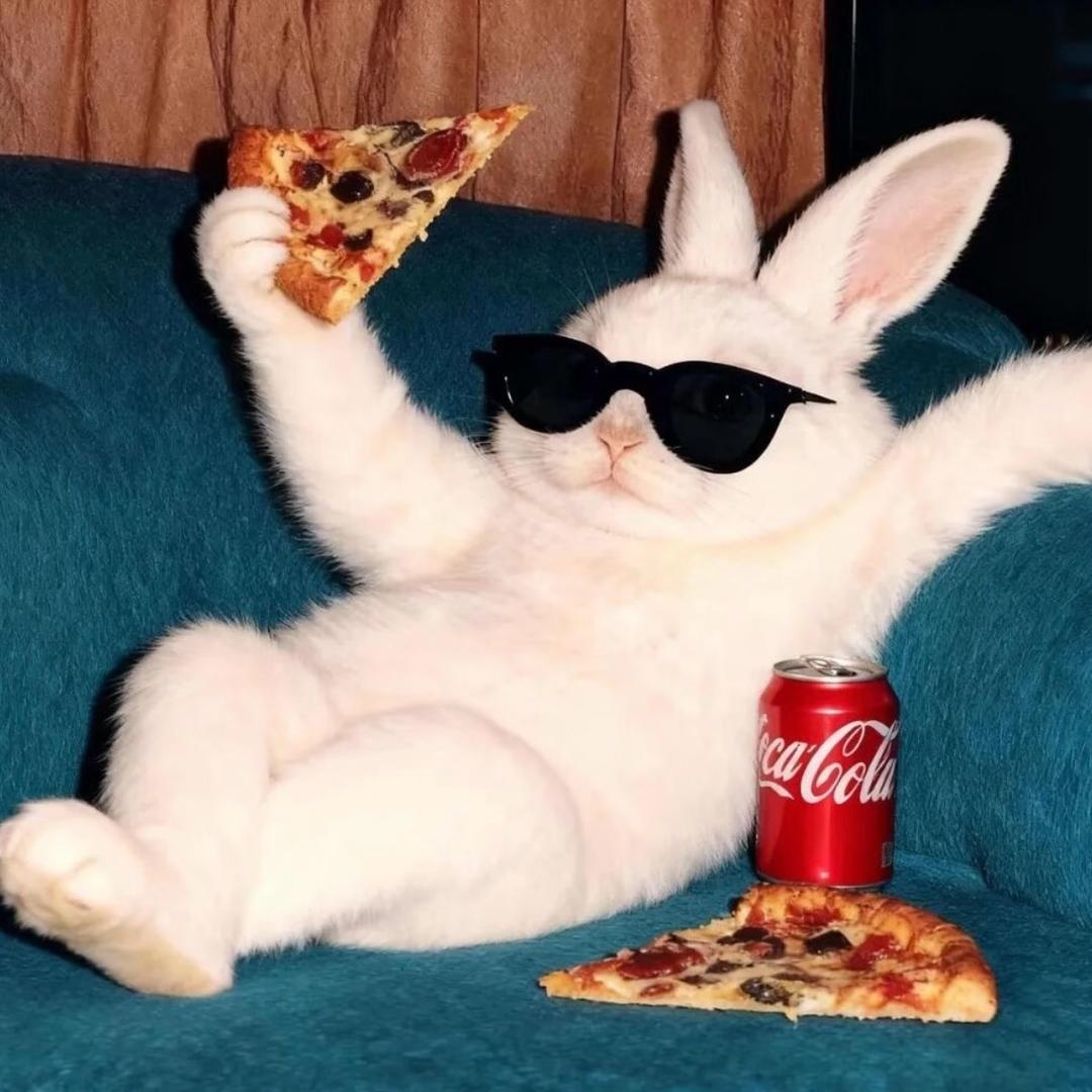 兔道长的模玩日常