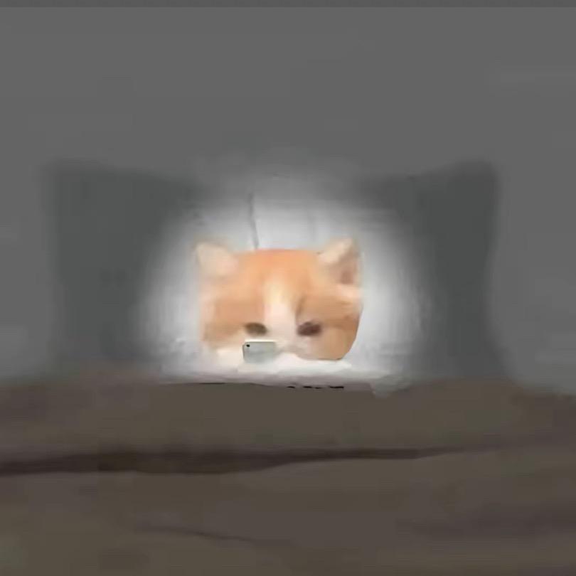 捷