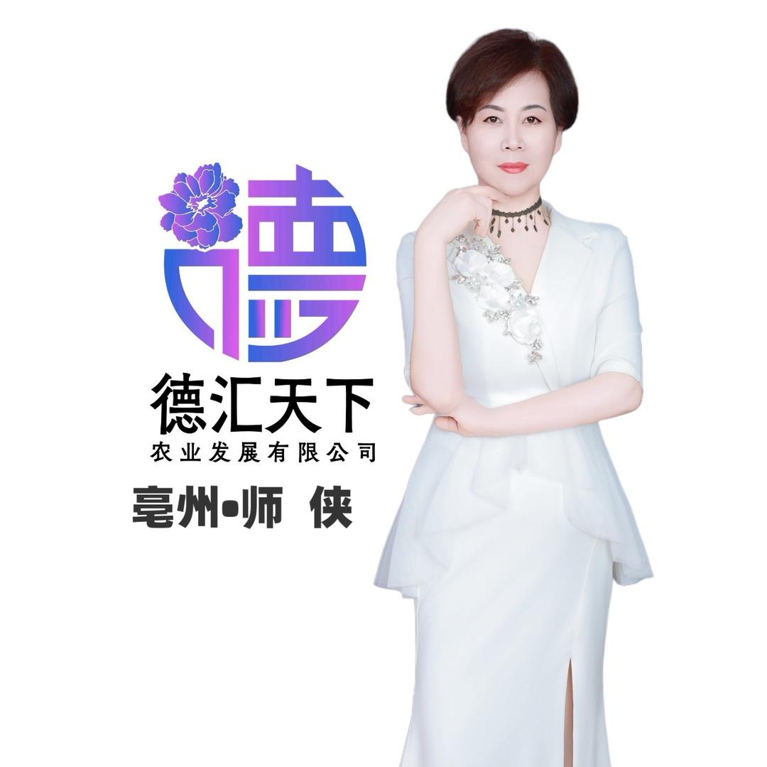 德汇天下—师侠