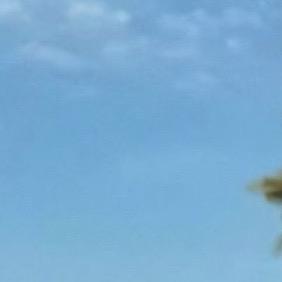 抖音用户36853674