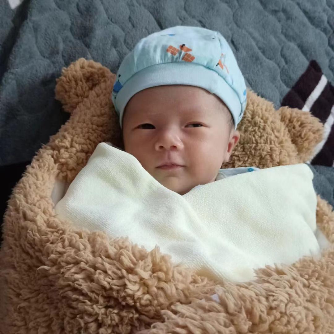 小龍仔