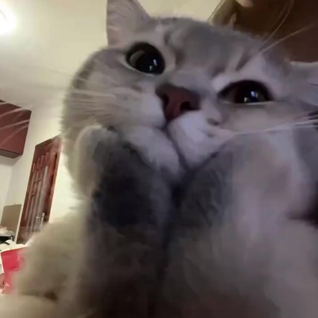 许愿丶