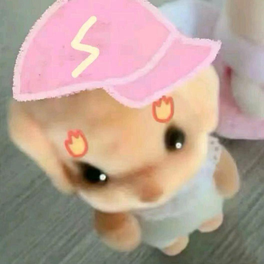 @.肥肥.