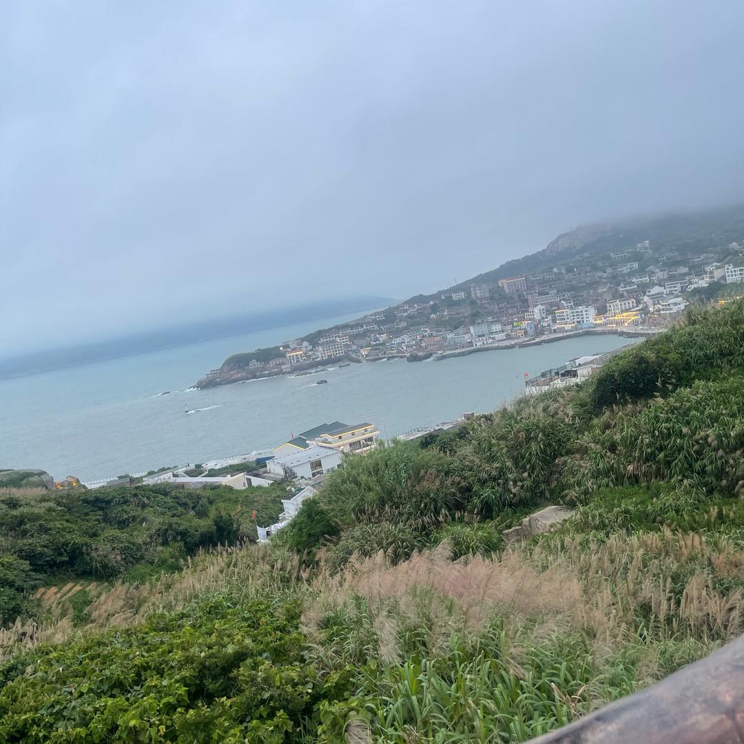 夏日炎炎