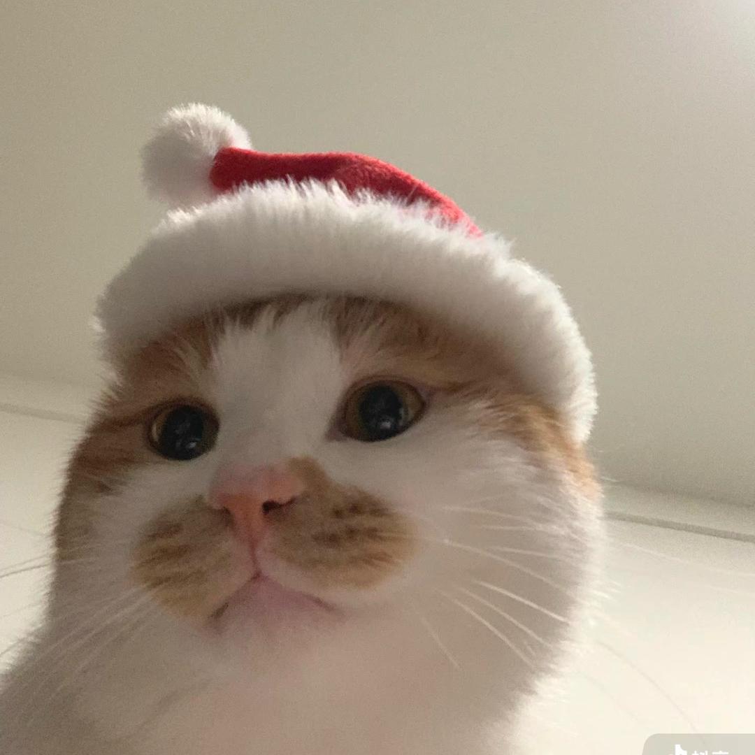 _