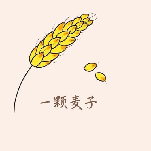 一颗麦子