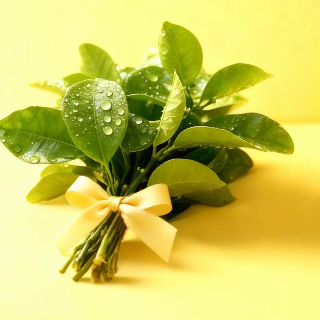 阿蒙要瘦肝（在减肥）