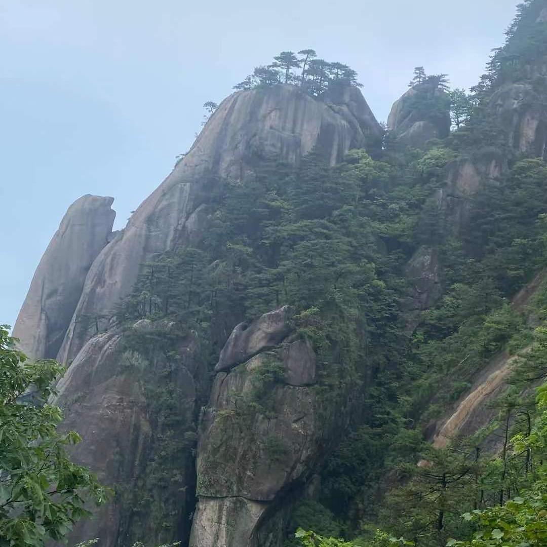 果利