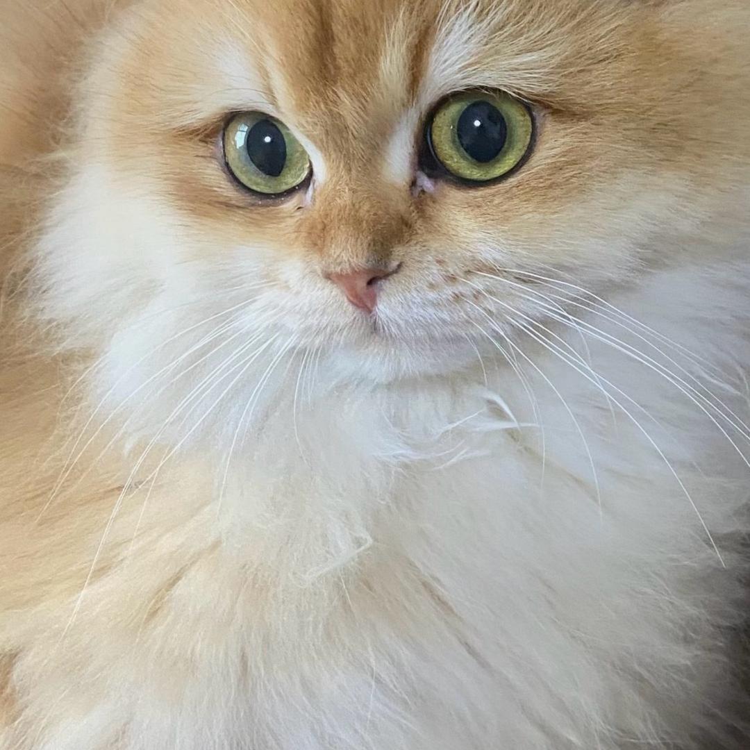 HL （求店铺团购）