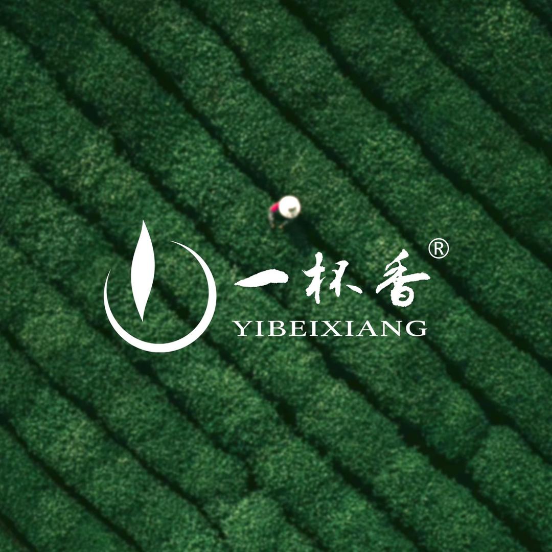 一杯香茉莉花茶店
