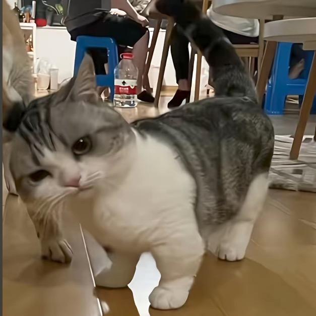 槑