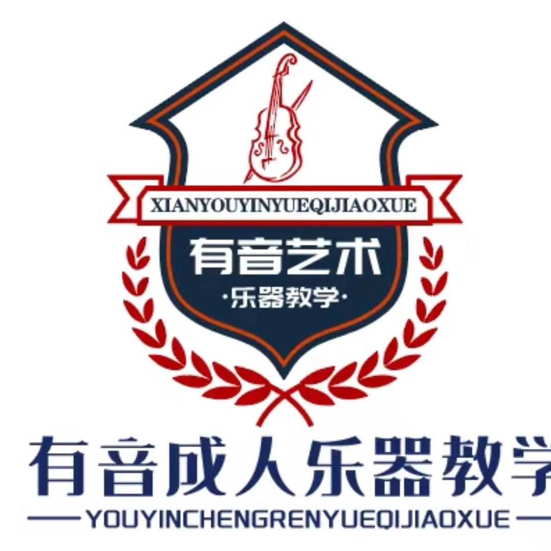 西安师必达乐器家教平台 王老师