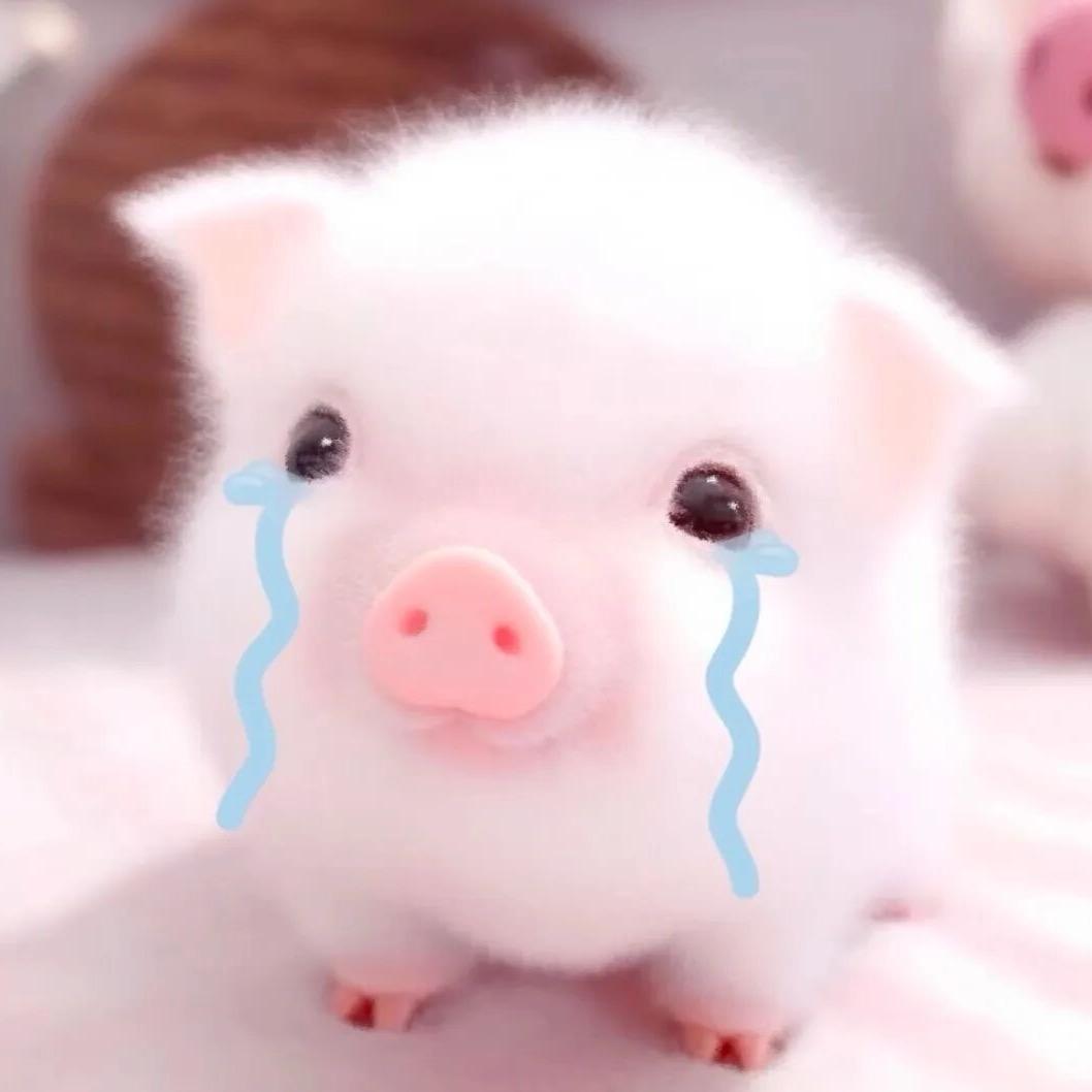 小彤quq