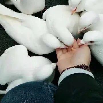徐昌建
