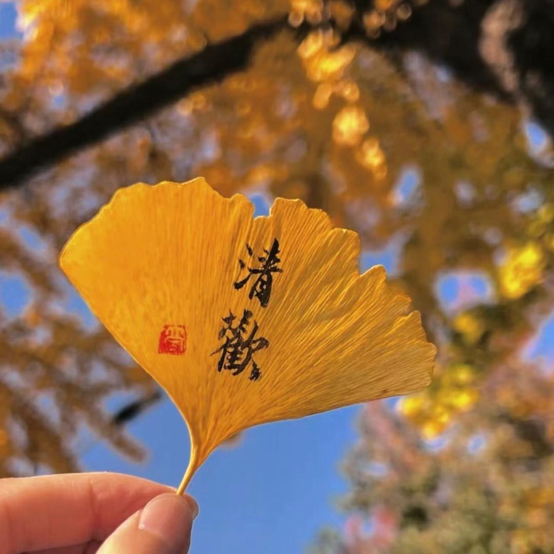 岁月静好💫