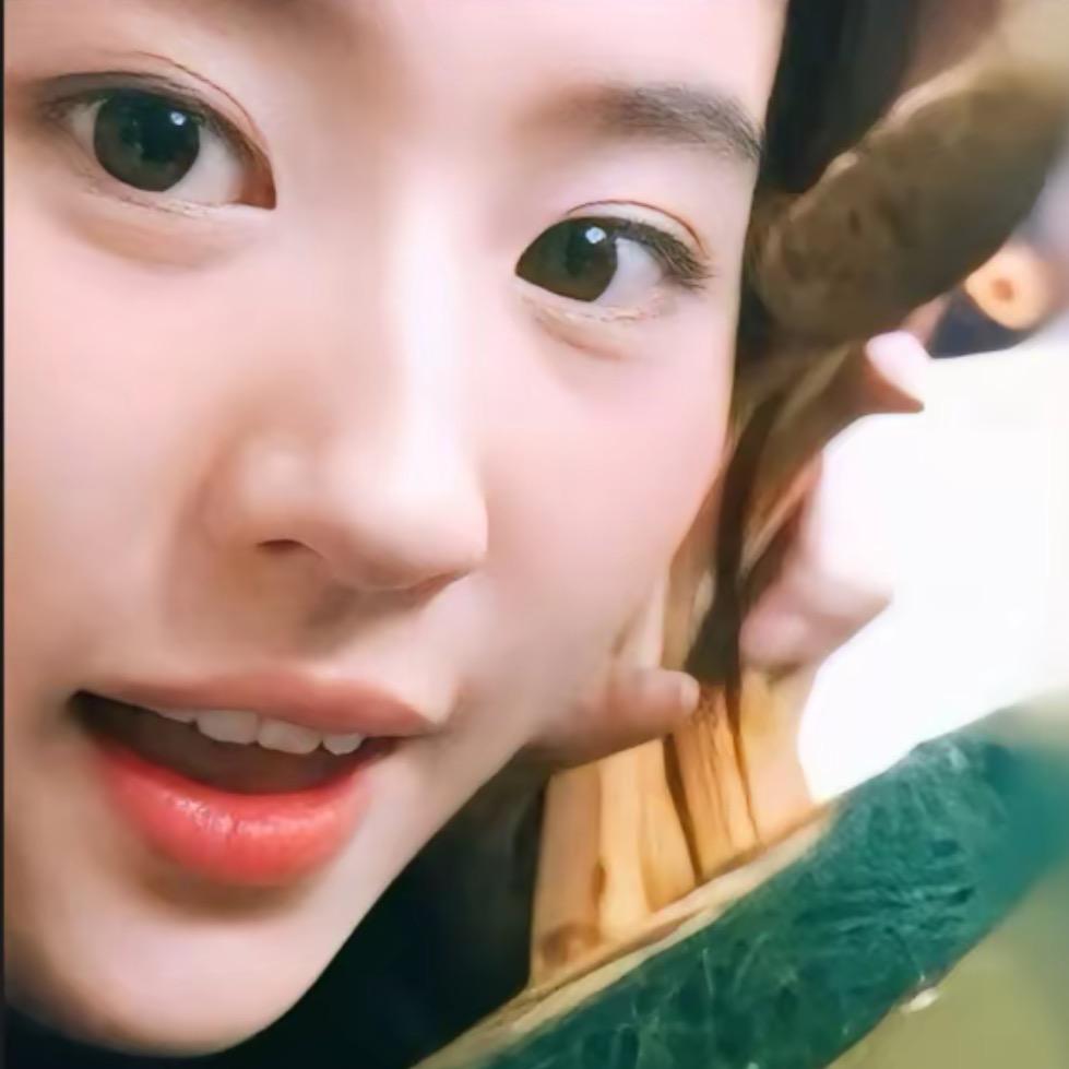 程哈哈-
