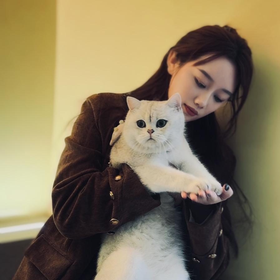 闪亮的屁灯