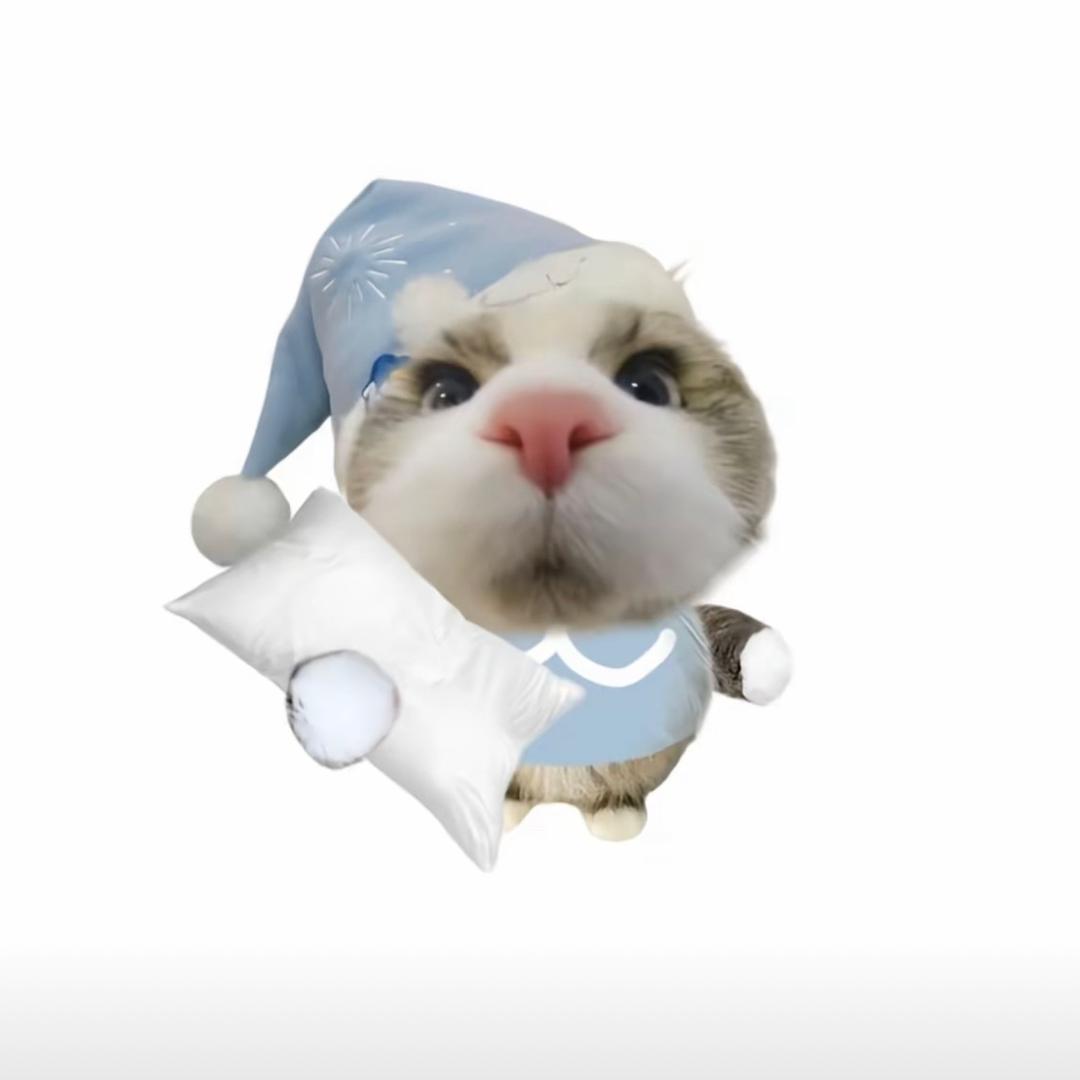 檐下小雨꒦ິ^꒦ິ