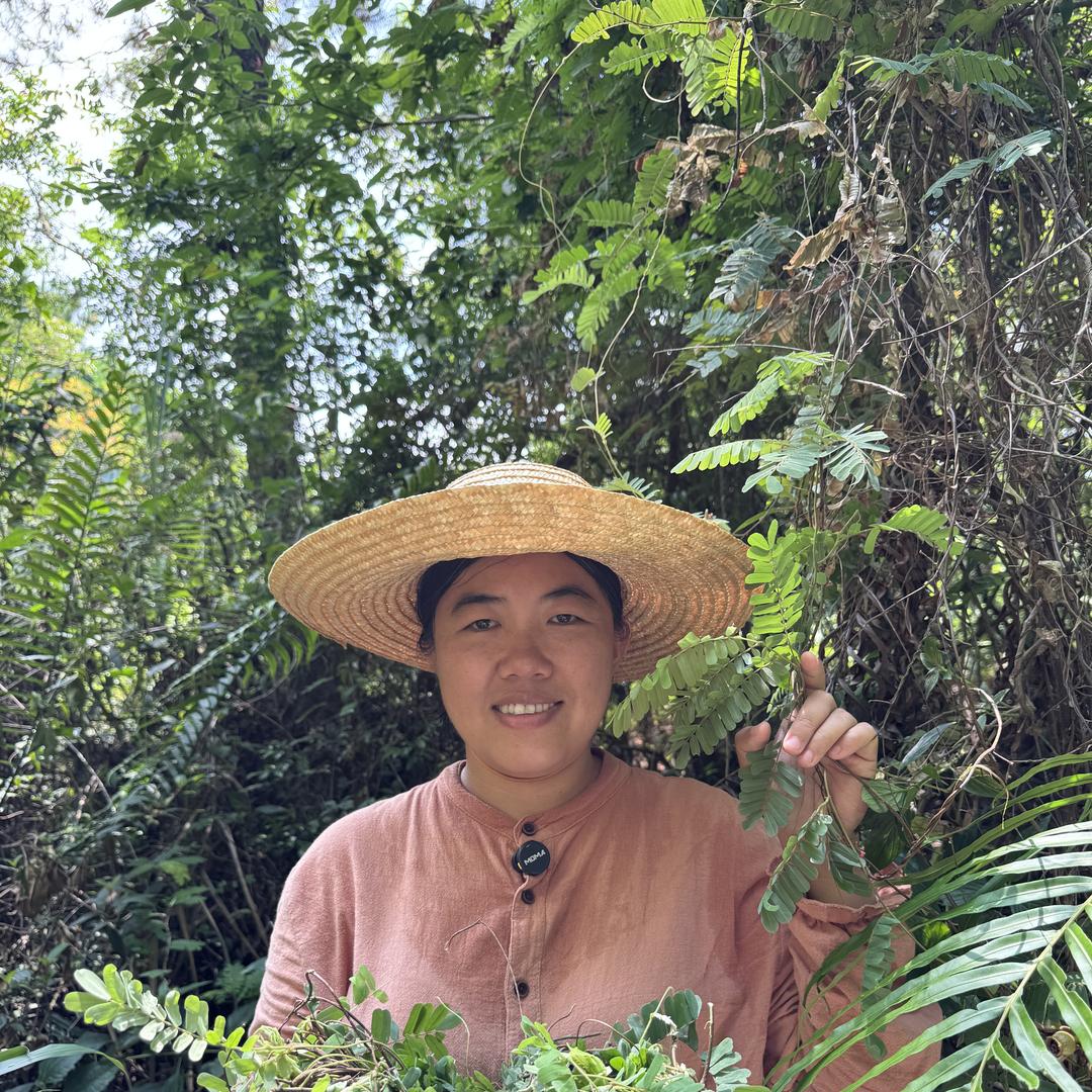 我的山野铺子