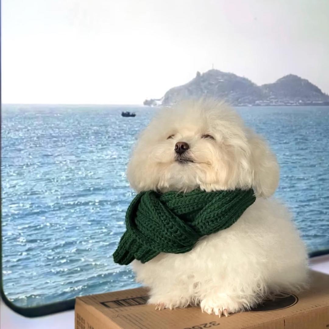 番茄炒蛋只吃蛋