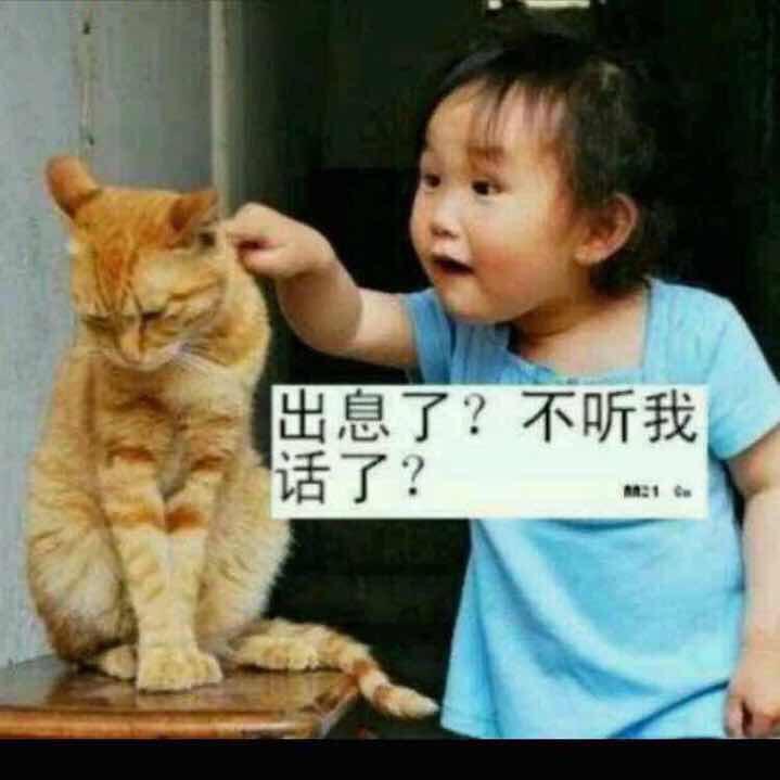 诚信服装洗水