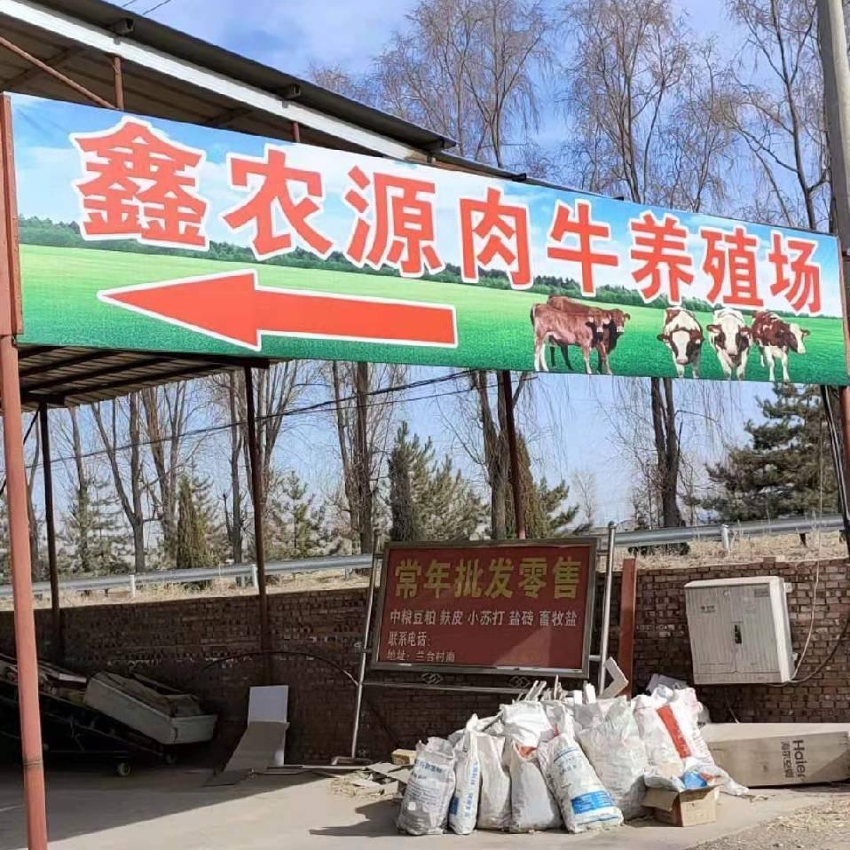 鑫农源肉牛养殖场
