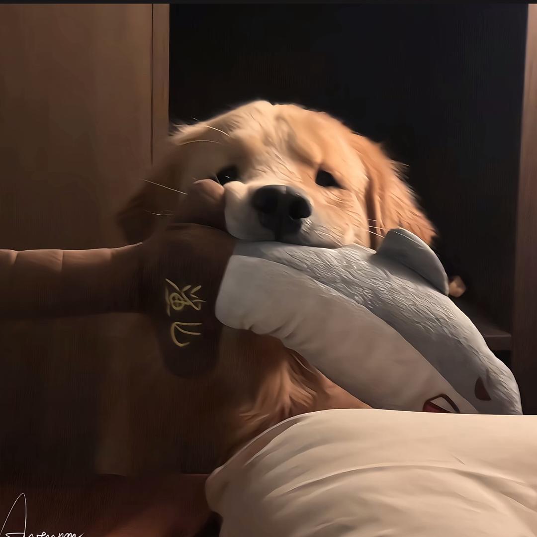 香菜叶山水倦客