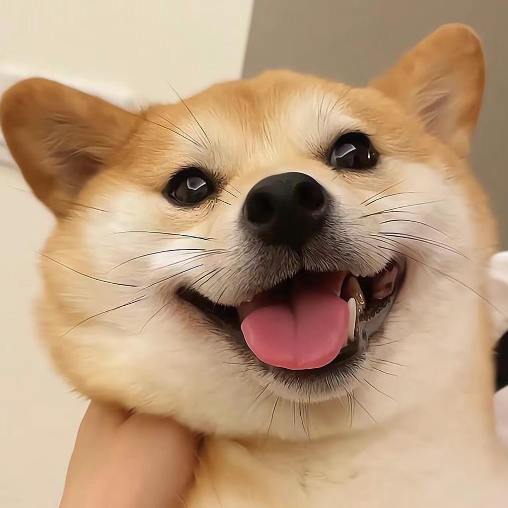 清挽