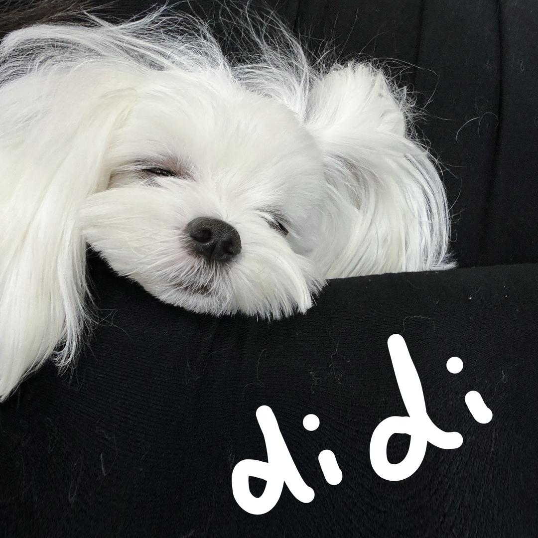 喜欢didi
