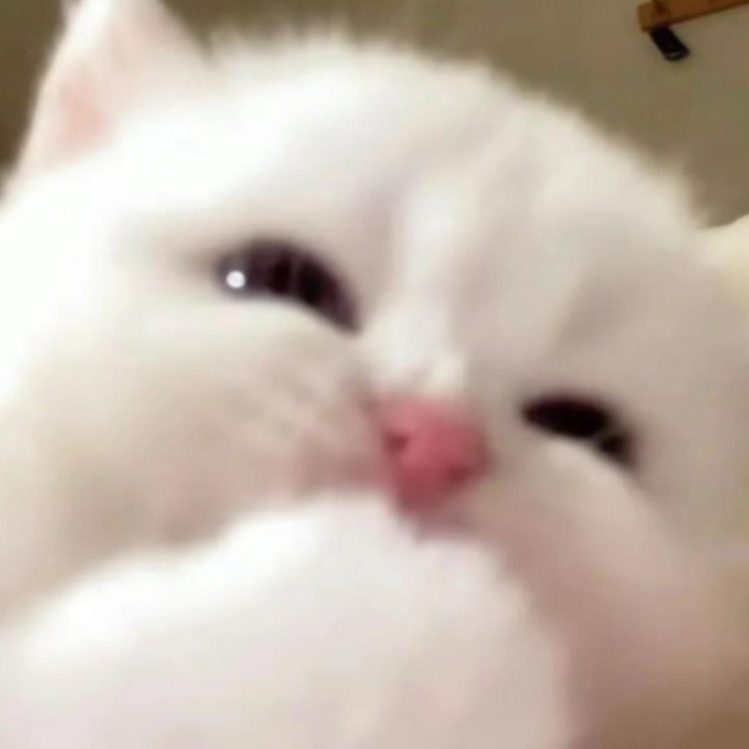 她一点都不可爱