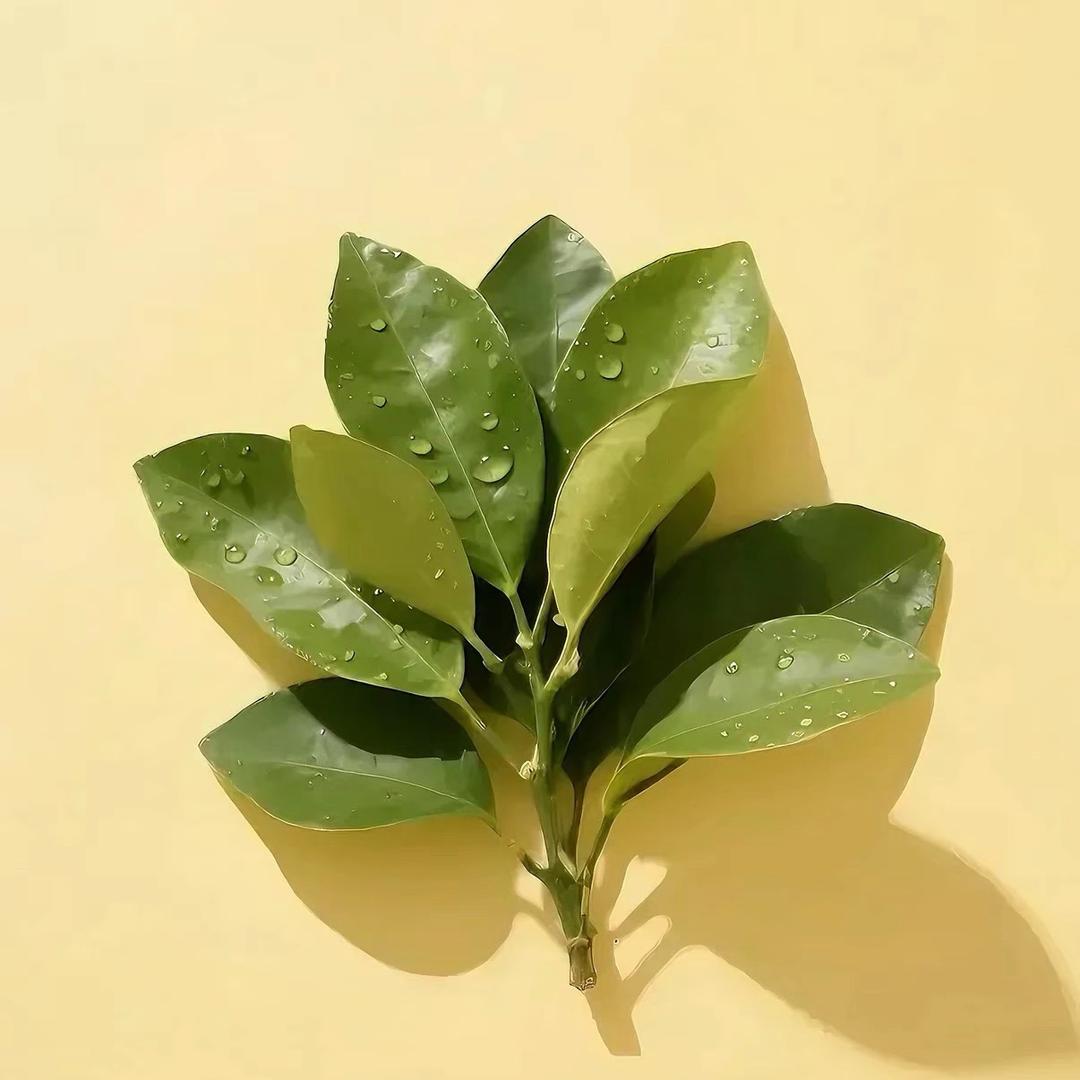 幸运的我我很幸运