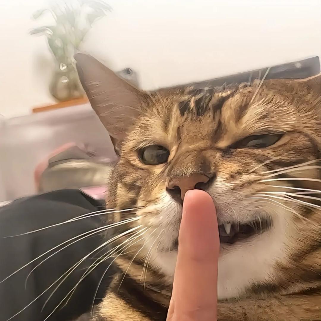 7。