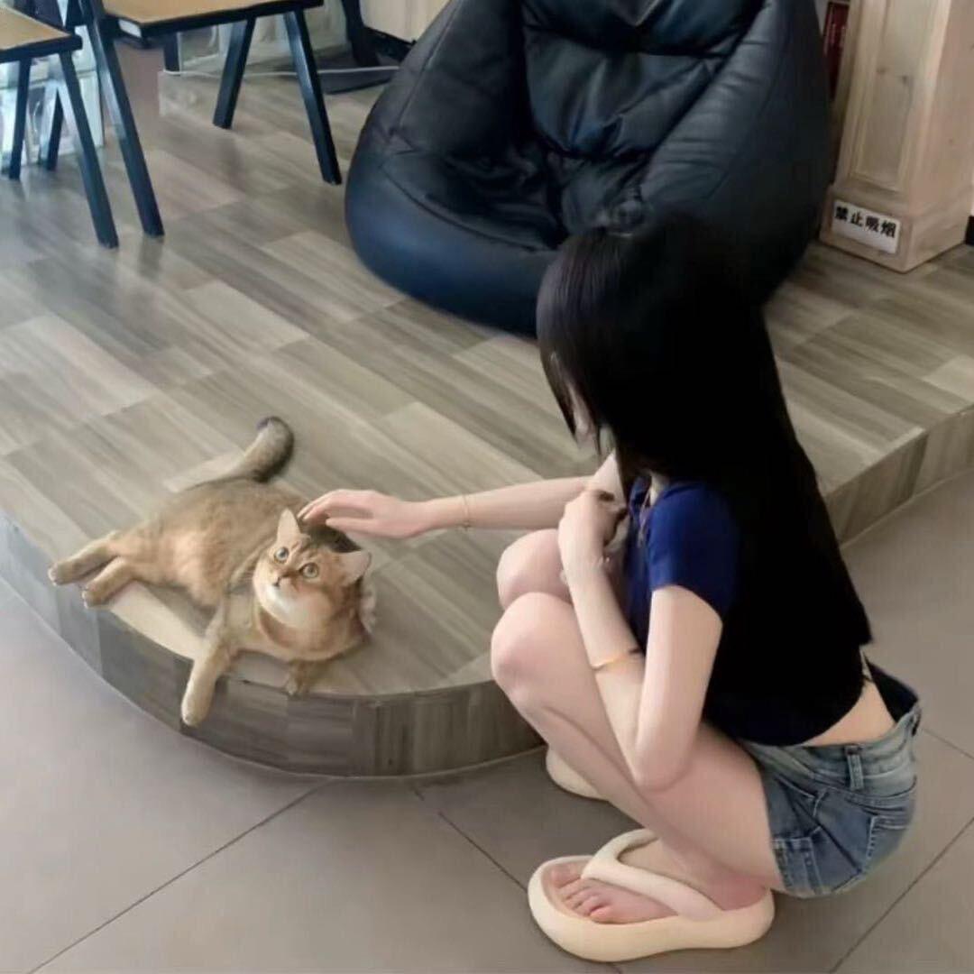 恨自己不够深情