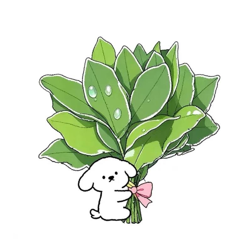 财宝宝（不熬夜版