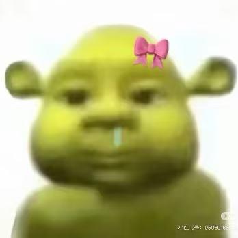 Sss