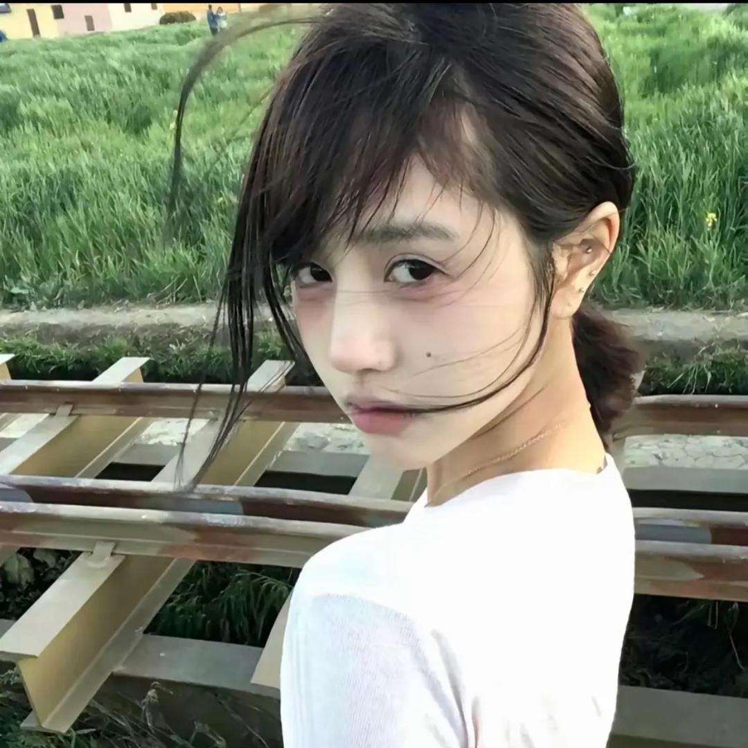 不是磊子