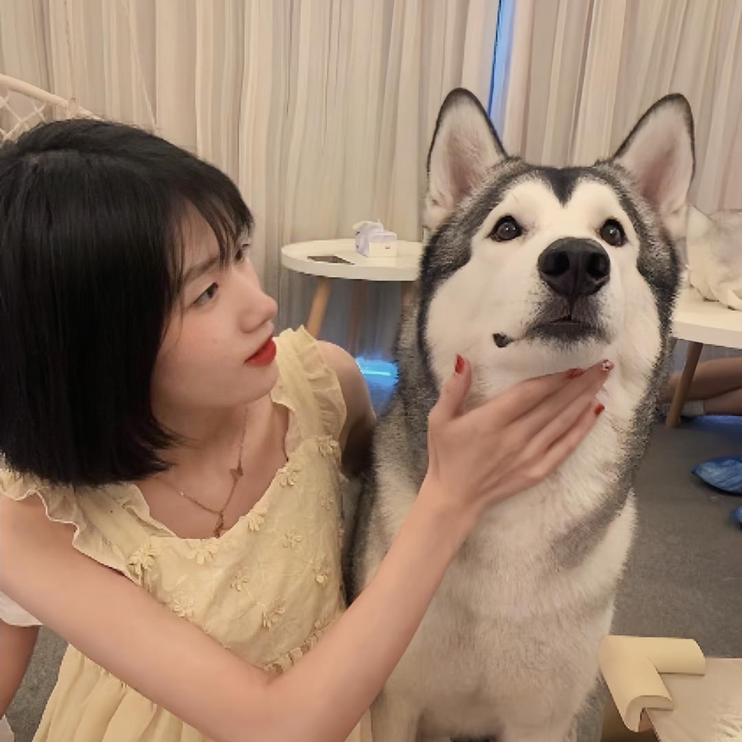 关你西红柿啊
