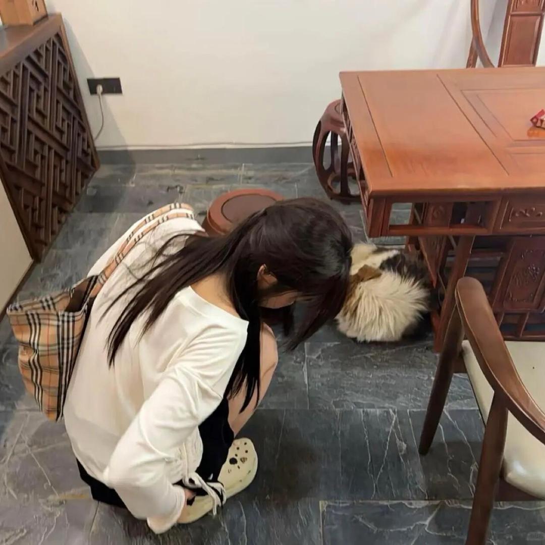Zzz睡了吗