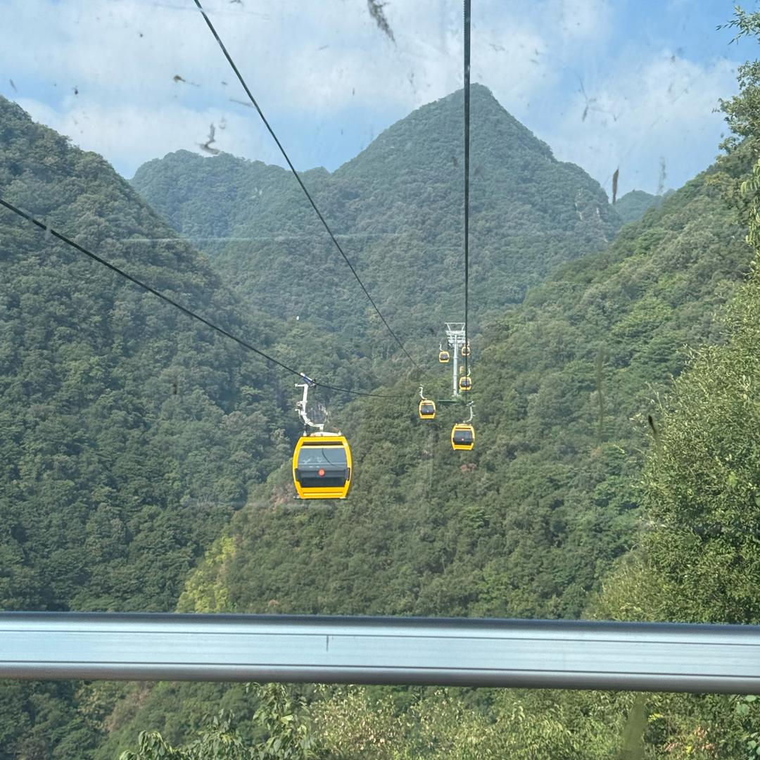 杨枝甘露