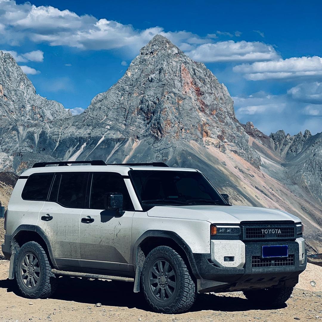 无所不能的咸鱼