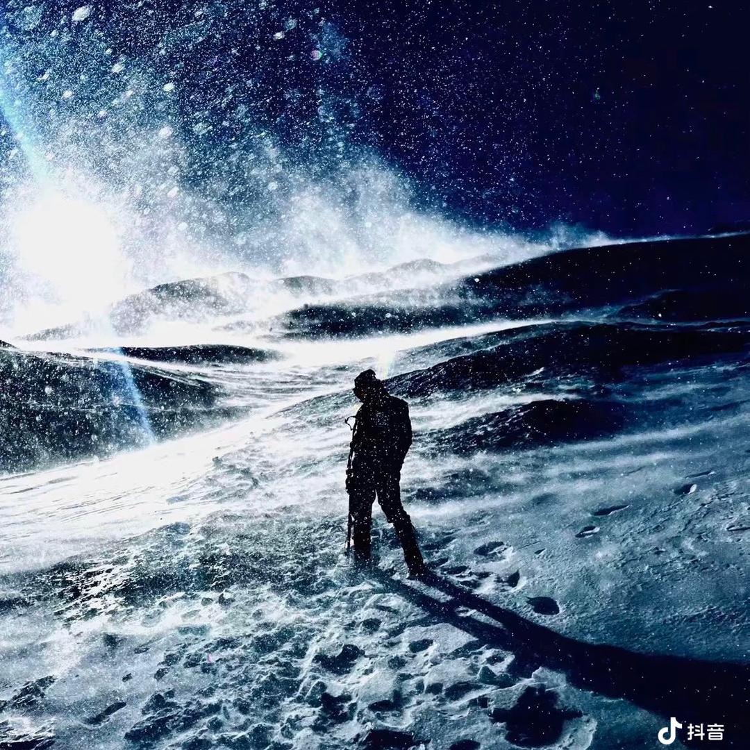 陈有有